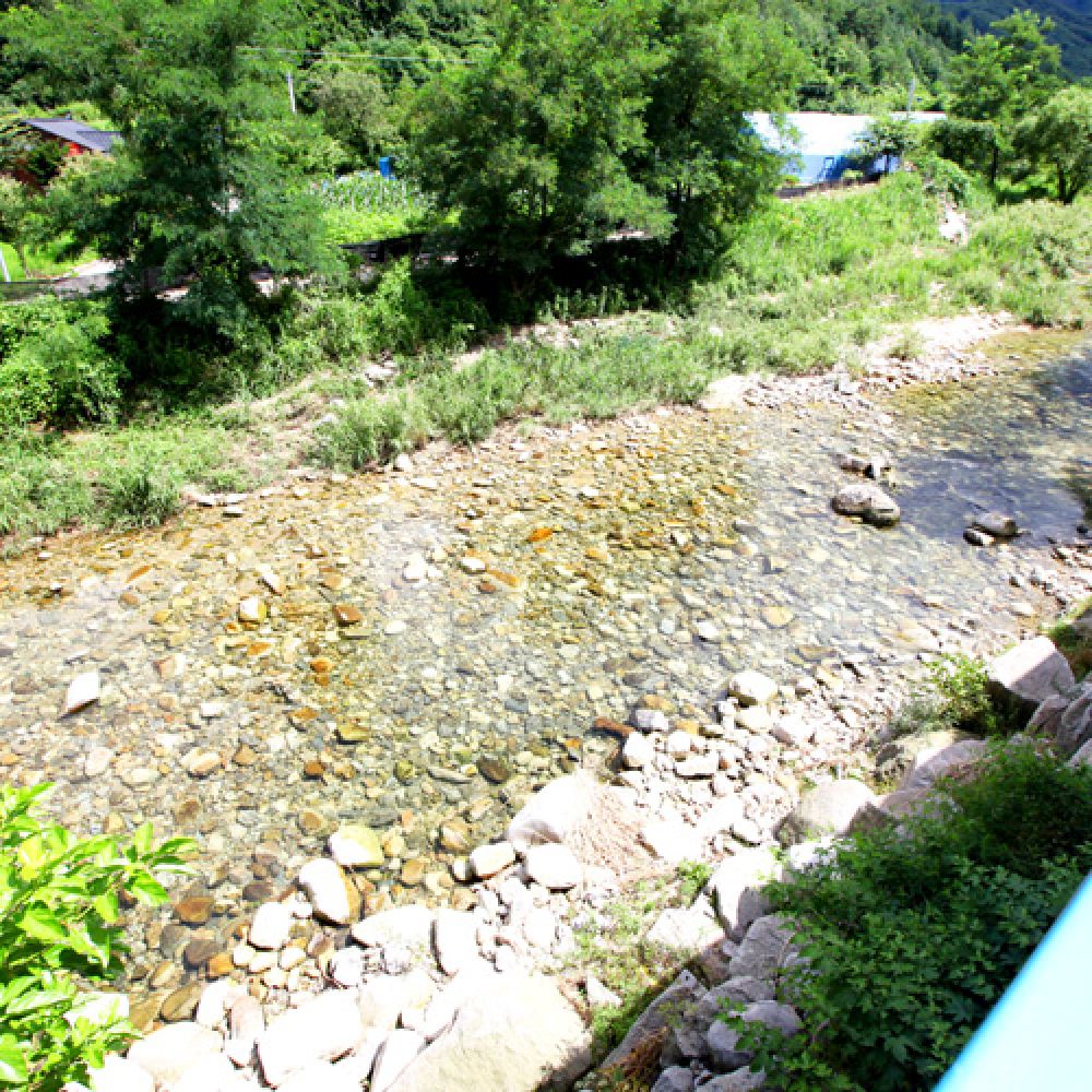 주변전경